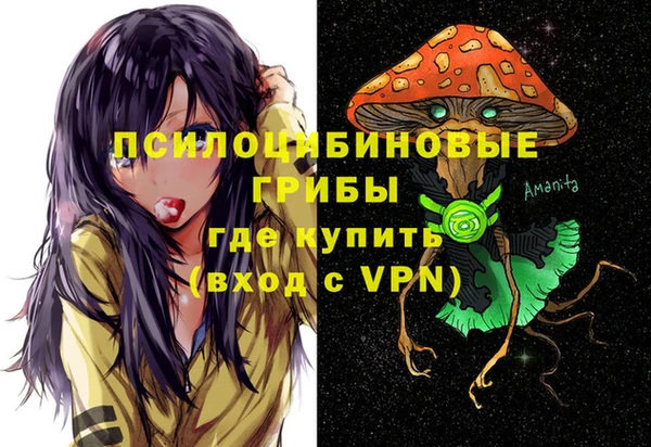 марки nbome Богородицк