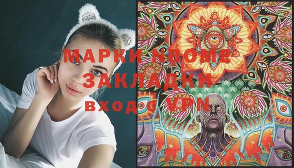 apvp Болотное