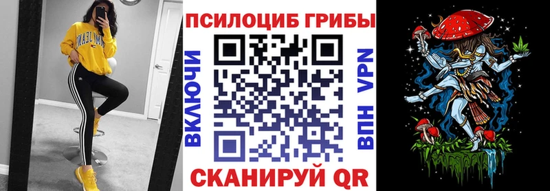Галлюциногенные грибы Psilocybine cubensis Воскресенск